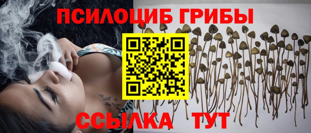 Галлюциногенные грибы MAGIC MUSHROOMS  Вход с VPN  Артёмовский 